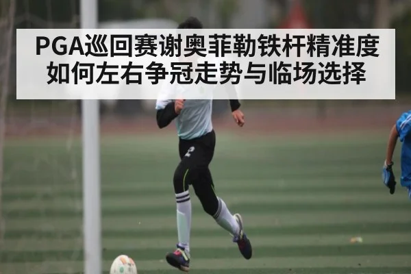 PGA巡回赛谢奥菲勒铁杆精准度如何左右争冠走势与临场选择